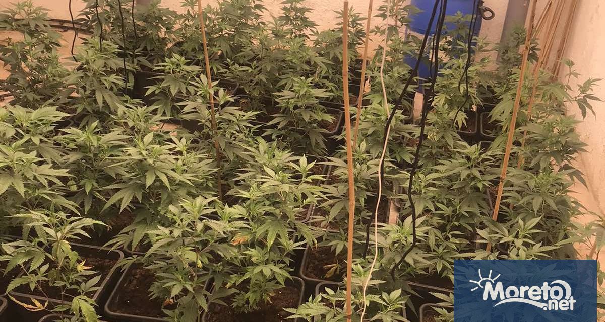 Окръжната прокуратура във Варна привлече към наказателна отговорност 33 годишния мъж