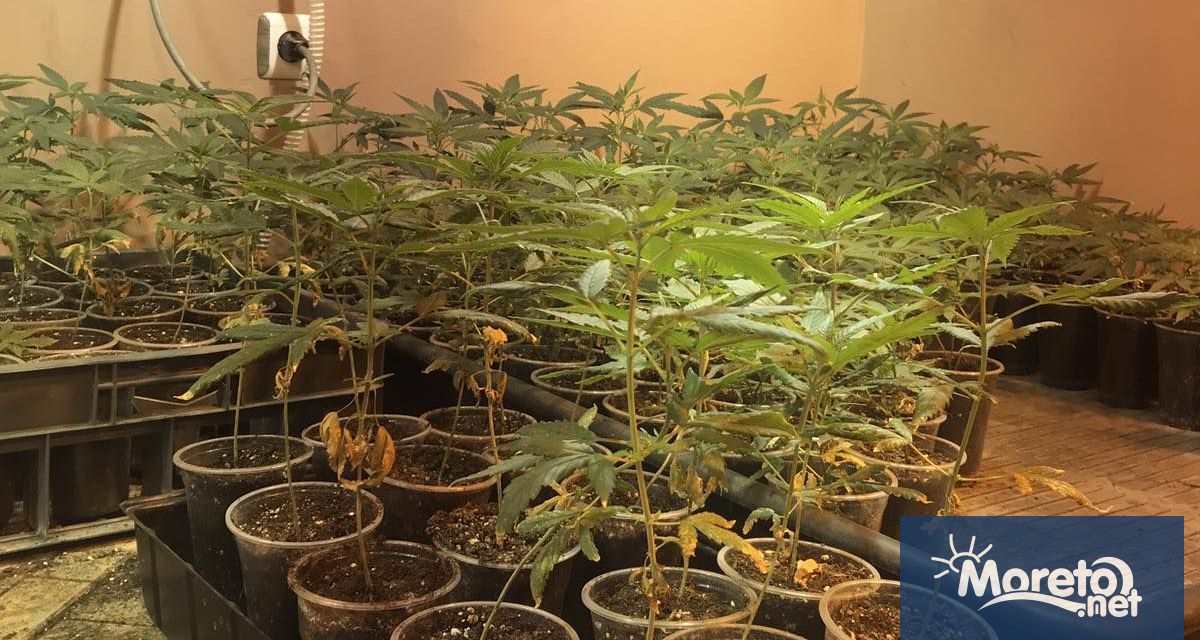 Окръжна прокуратура – Варна внесе в съда обвинителен акт срещу