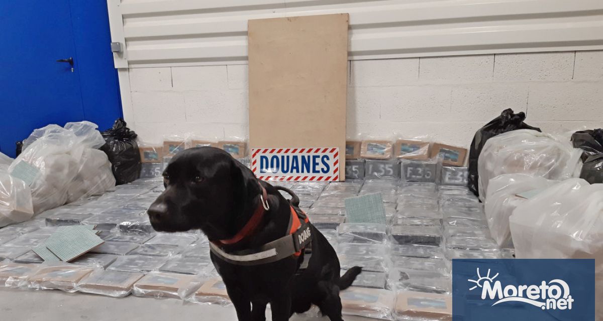 Двама български граждани са задържани във Франция след като в