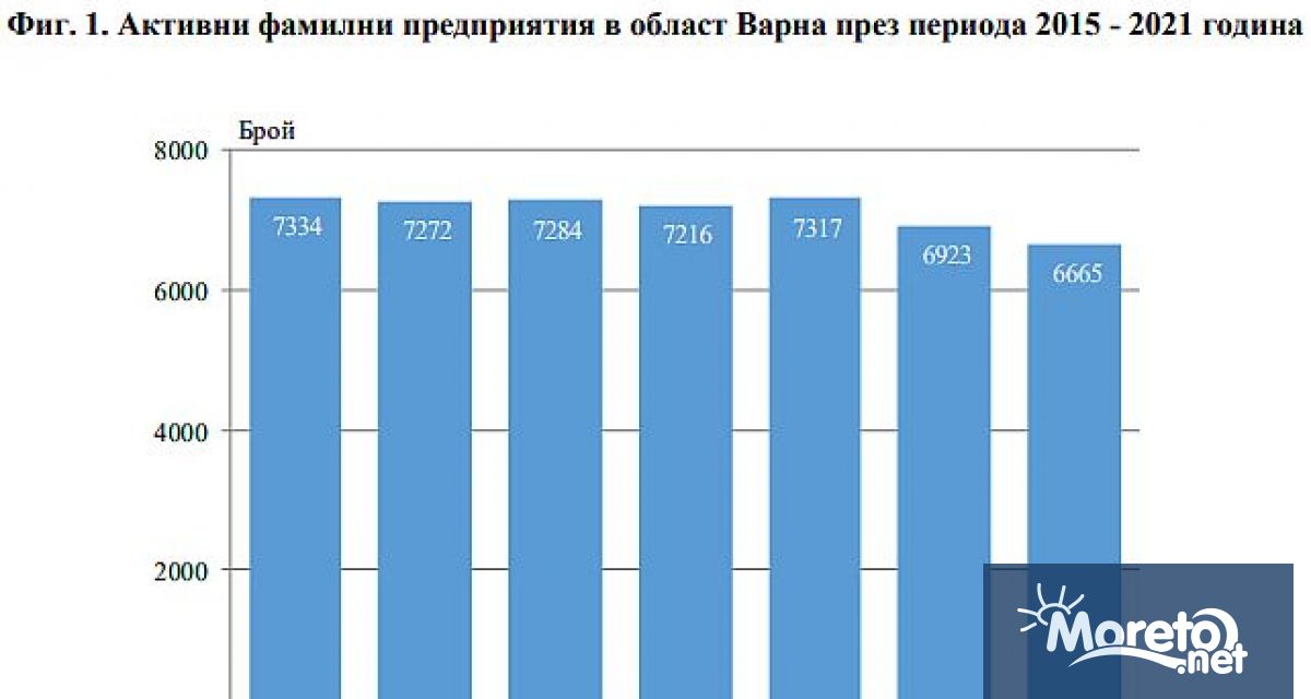 6 665 са активните предприятия в област Варна които декларират