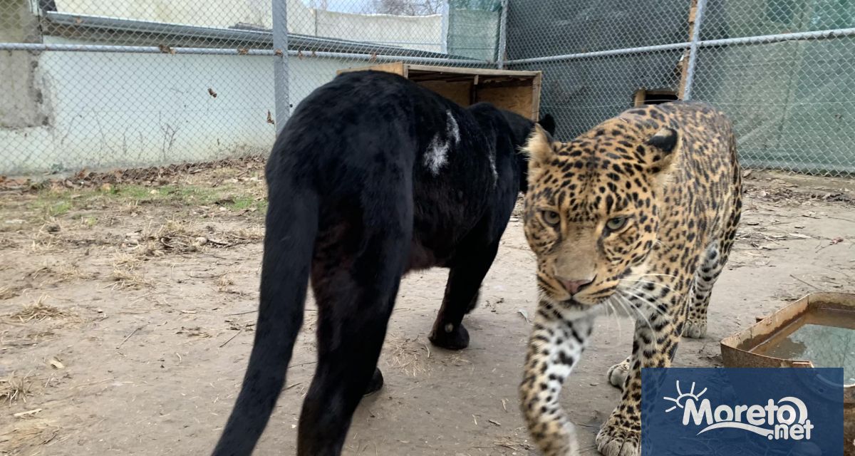 Варненският зоопарк обявява месец октомври за Месец на дарителите Откриването