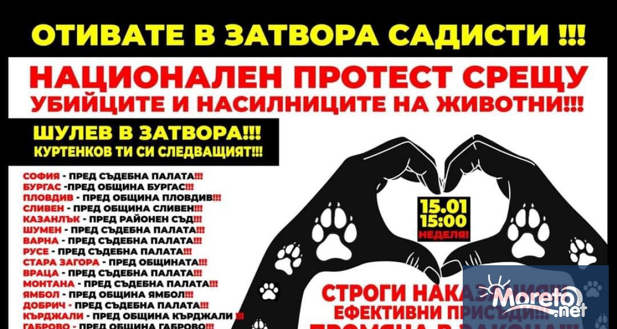 Варна се включва в Национален протест срещу насилието над животни