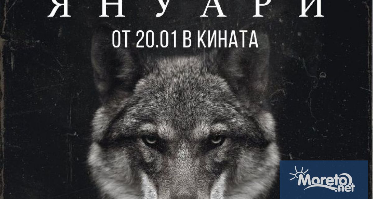 Новите кинозаглавия в програмата на Фестивалния и конгресен център във