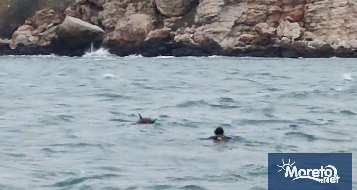 Сигнал за плаващ предмет наподобяващ морска мина е получен днес