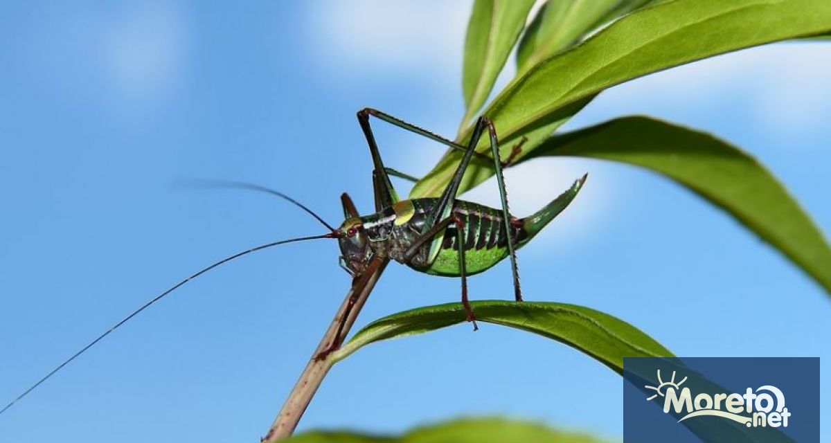 От днес е в сила нов закон на ЕС Официално