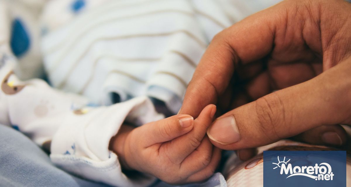 317 бебета са родени от 2014 г до август 2025