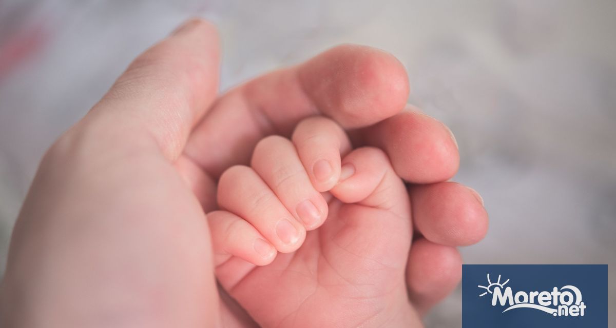 Инвитро програмата на Община Варна за подкрепа на семейства с