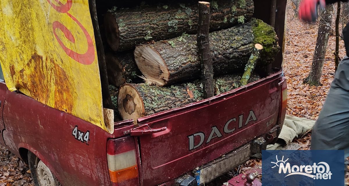 4144 проверки са извършили през януари горските инспектори и служители