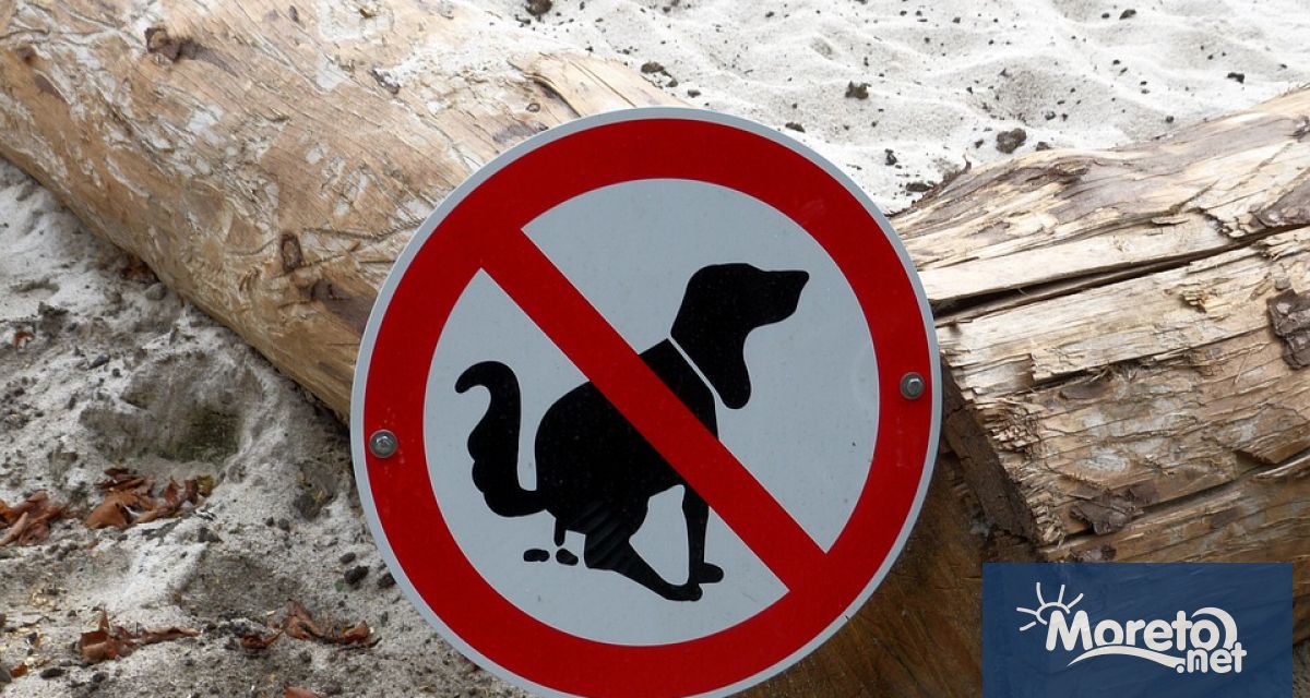 Едва ли има някой на когото поне веднъж да не