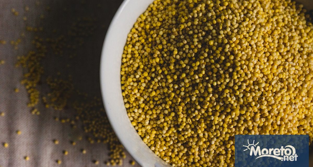 Докато други в нейното село в Зимбабве изпитват сериозни трудности