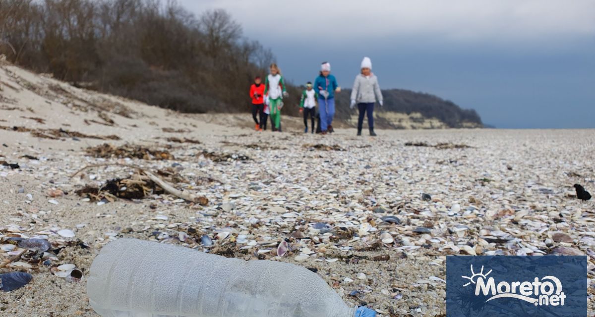 МОСВ обяви тазгодишния конкурс за най оригинален и екологично познавателен проект