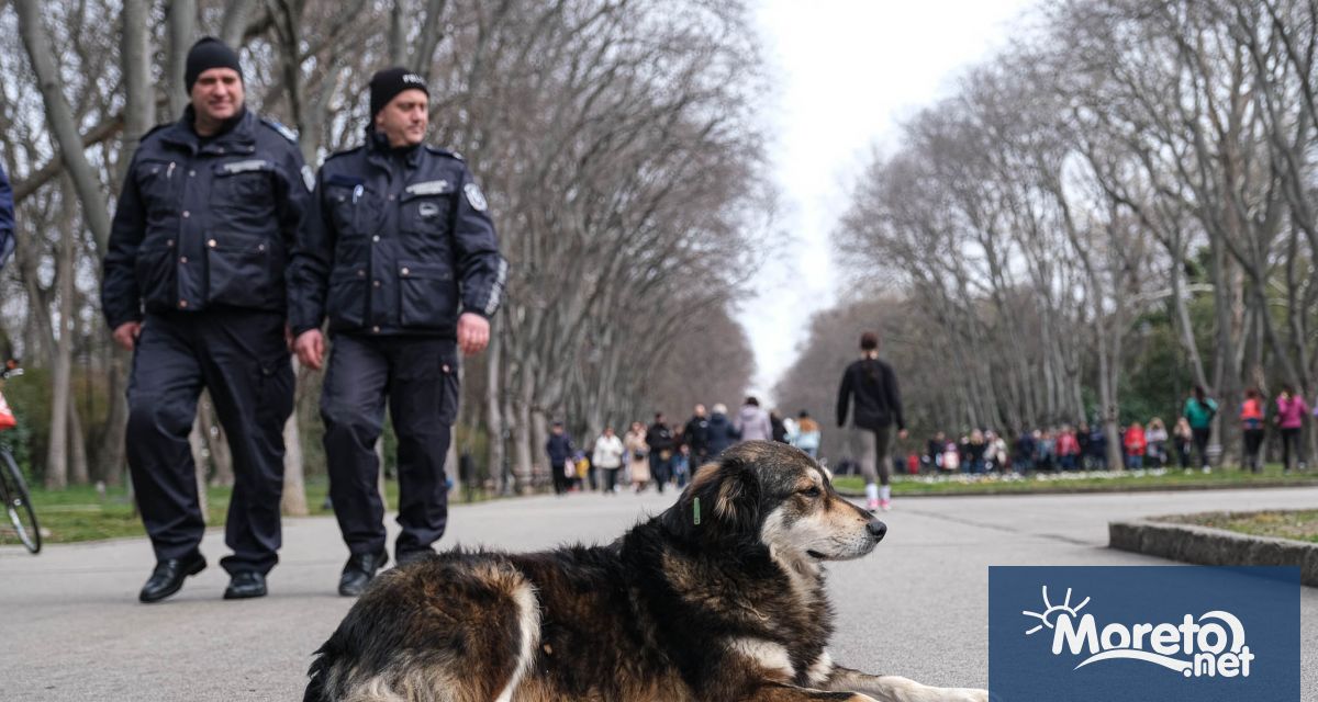 Кампанията Подай ръка – спаси лапа ще се проведе на