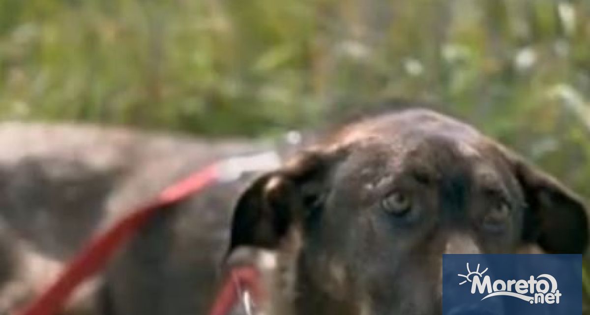 Прокурор от Софийската районна прокуратура е внесъл обвинителен акт в