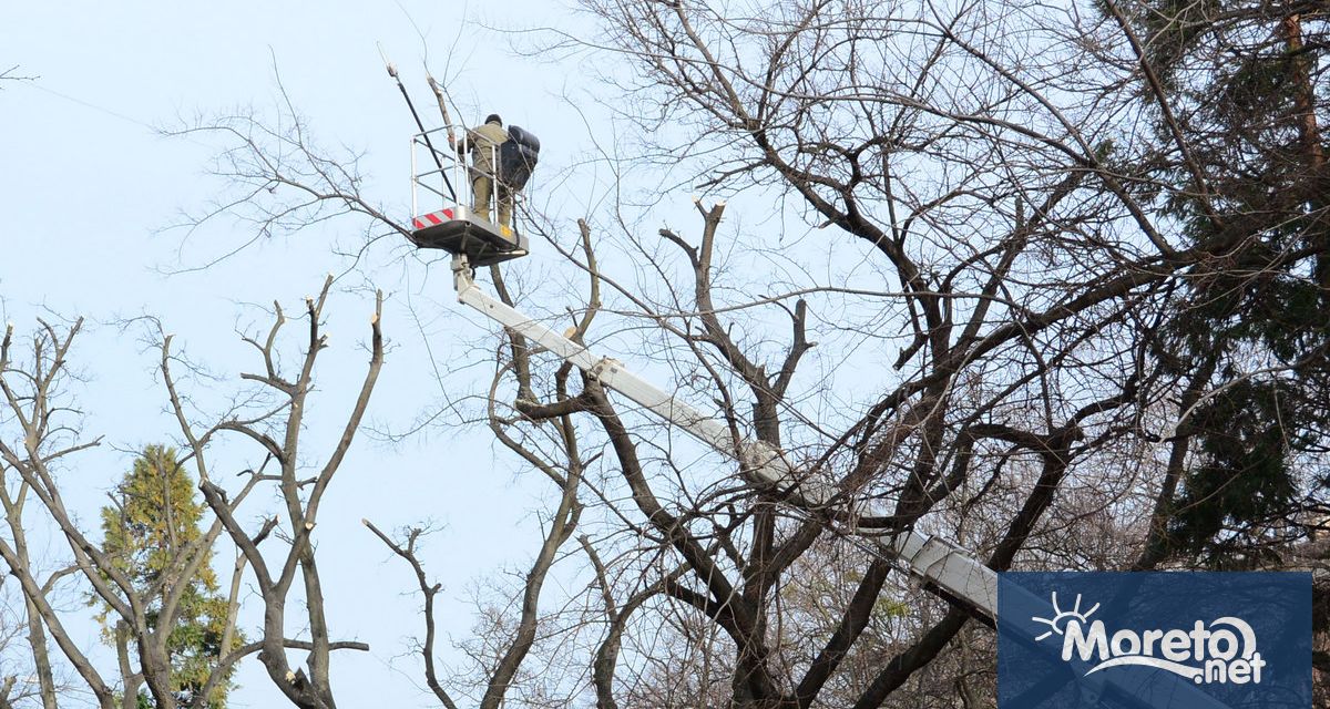 На ул Княз Александър Батенберг в участъка от улиците Свети