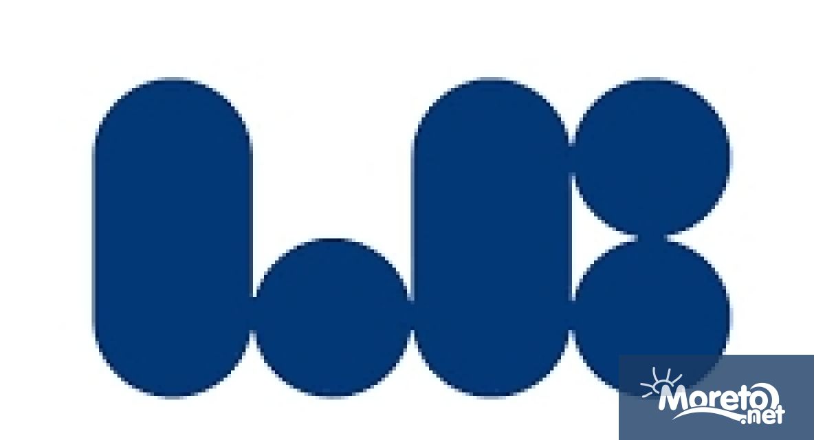 Назначеният одит на дейността на Ел Би Булгарикум ЕАД констатира