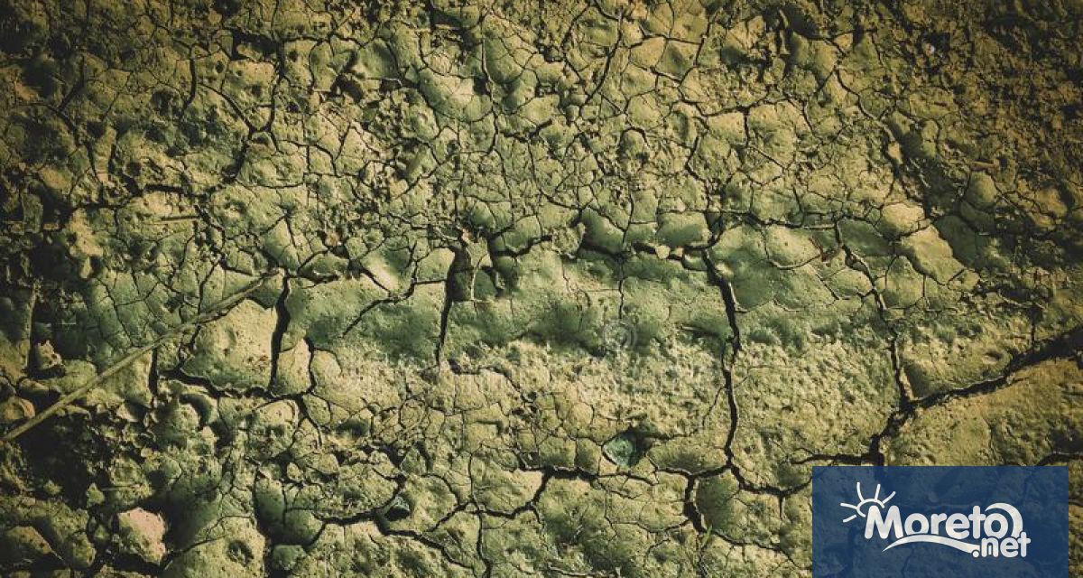 Проф Мазер предполага че след войната в Черно море ще