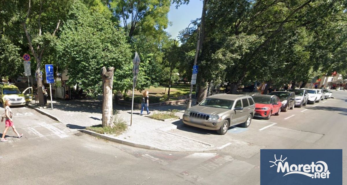 Идейните предложения за рисунка на асфалт на Севастопол са вече