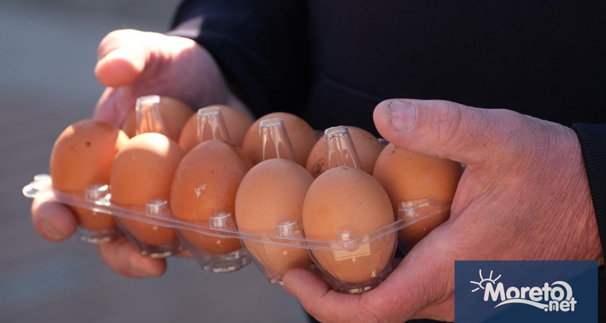 През последното тримесечие на 2024 г индексът на цените на