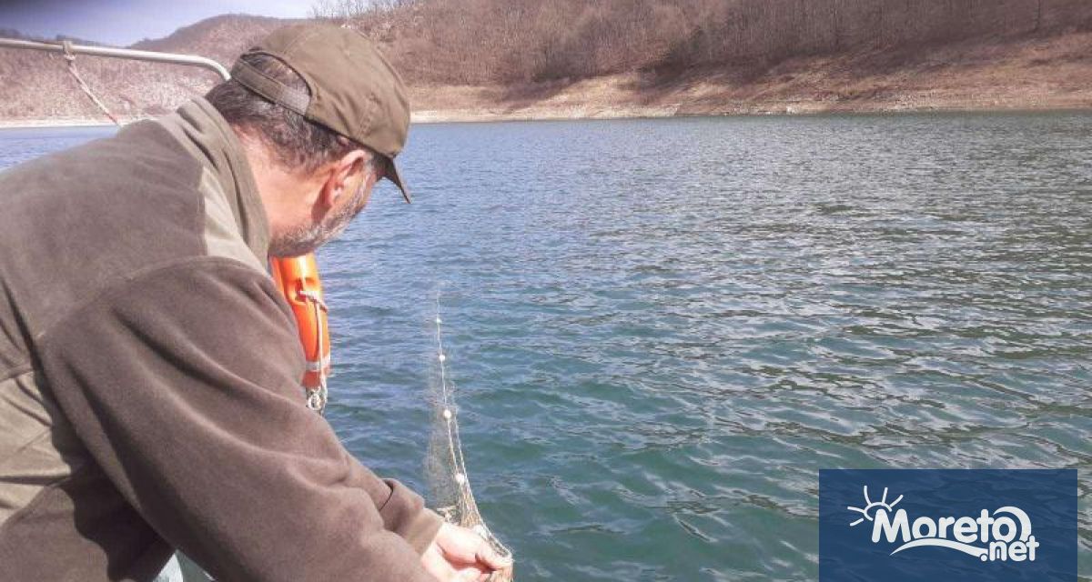 Дълга 70 метра хрилна мрежа за бракониерски улов е открита