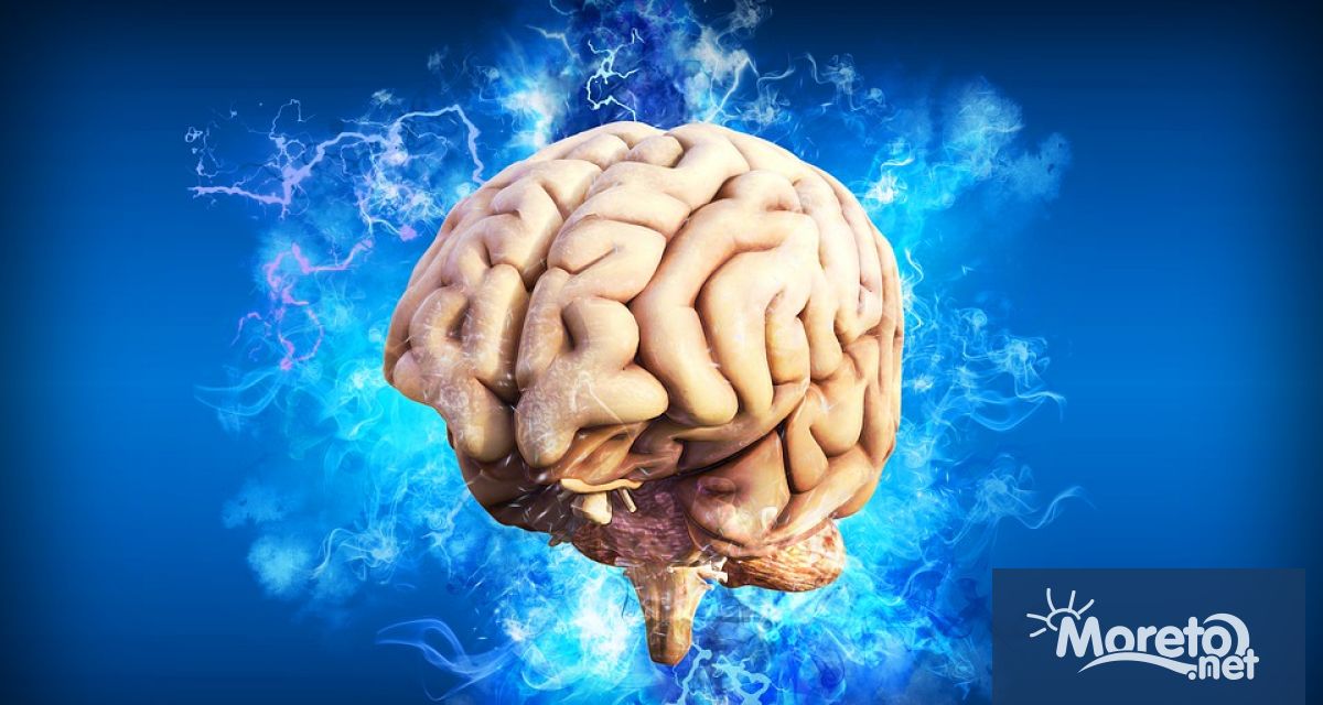 18 март е обявен за Световен ден на мозъка По