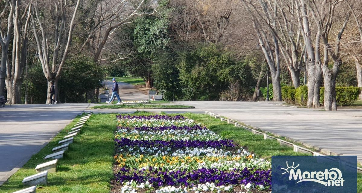 На работа в област Варна през март са постъпили 1133