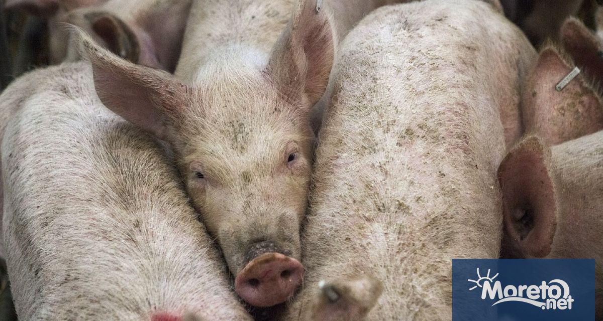 Държавите членки единодушно одобриха промяна в регионализацията на страната ни