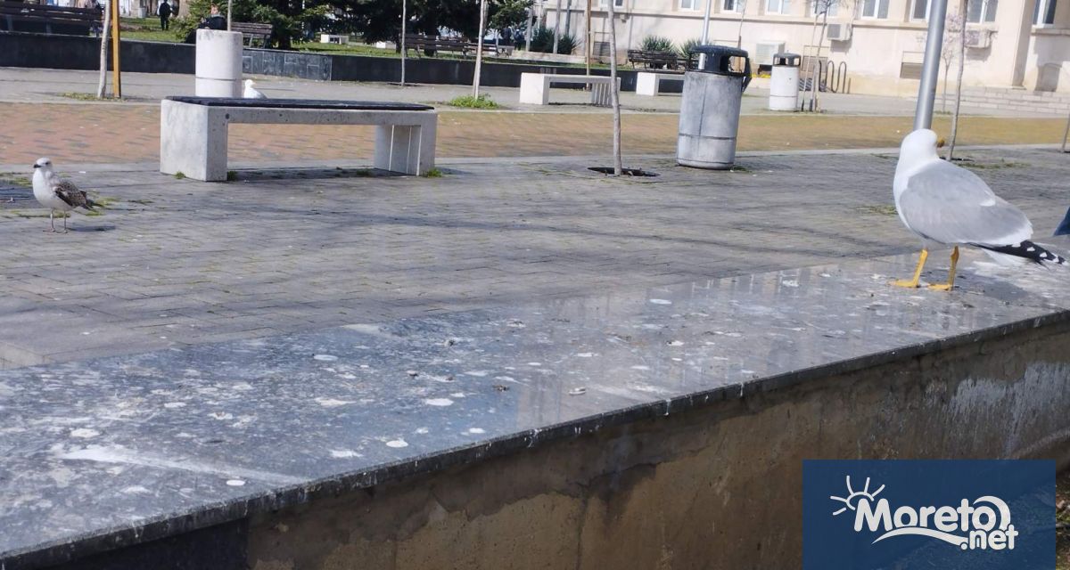 Черните мраморни плочи около градинките на площад Независимост които бяха