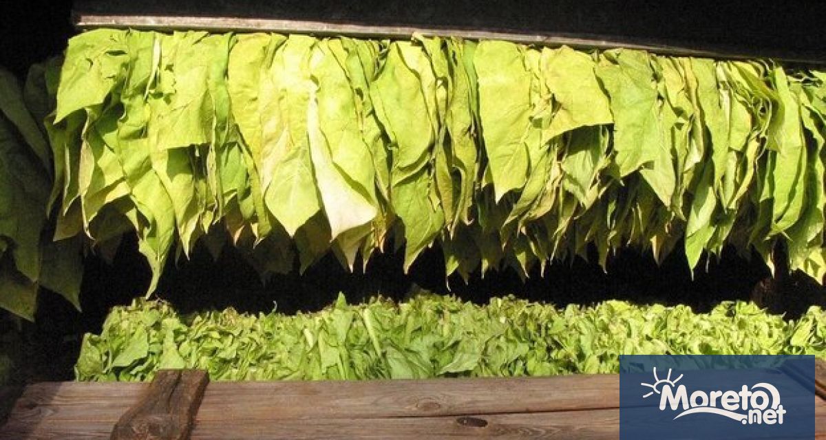 Със заповед на министъра на земеделието Явор Гечев регистрацията на