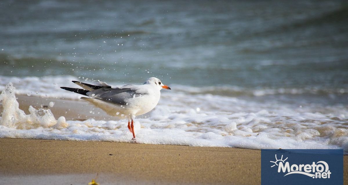 През нощта ще бъде предимно ясно и почти тихо В