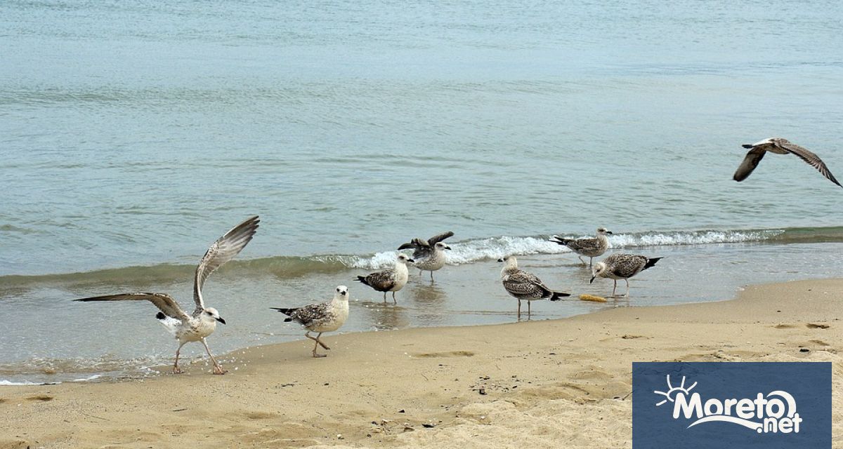 През нощта над по голямата част от страната ще бъде предимно