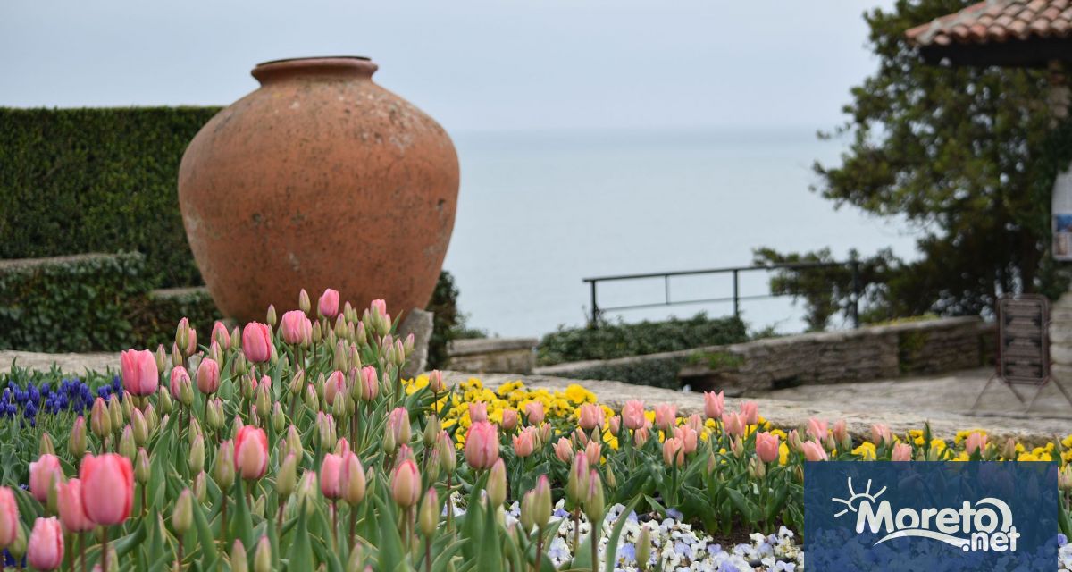 По традиция Университетска Ботаническа градина Балчик представя колекциите от луковични