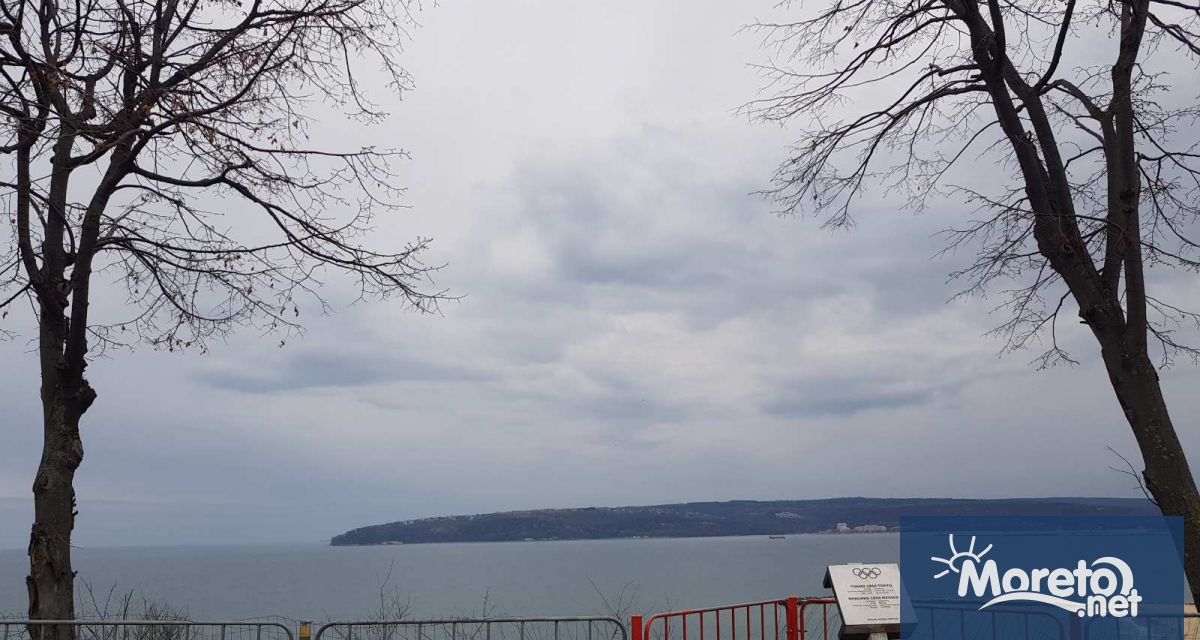 Около две дървета в Морската градина е полято голямо количество