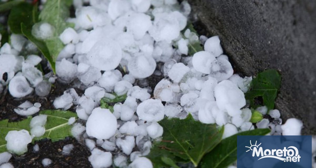 Под 1 от защитената земеделска площ е засегната от градушки