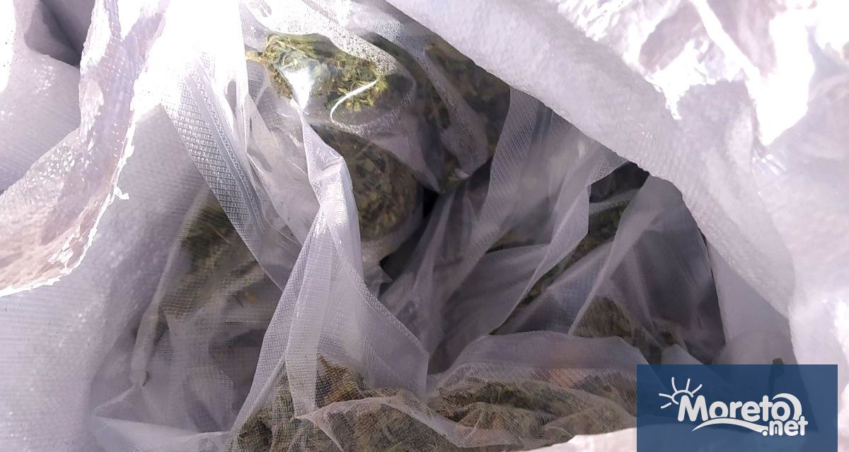 Петима души са задържани при акция проведена на територията на