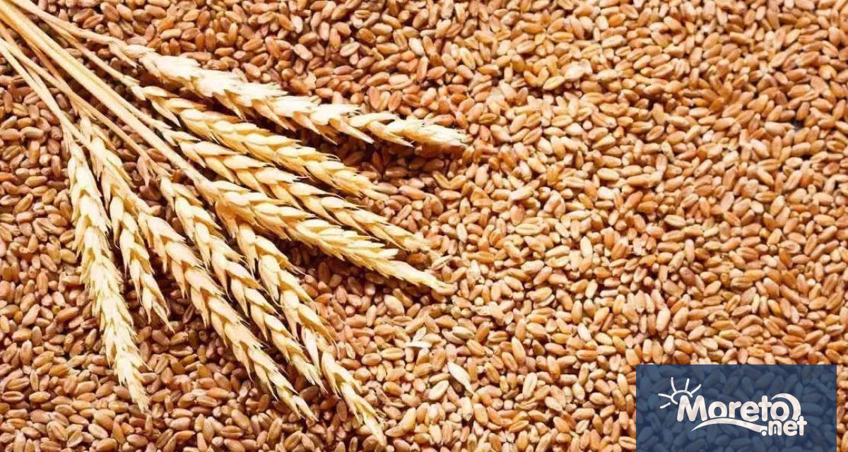 ЕС може да наложи санкции на Полша заради украинското зърно