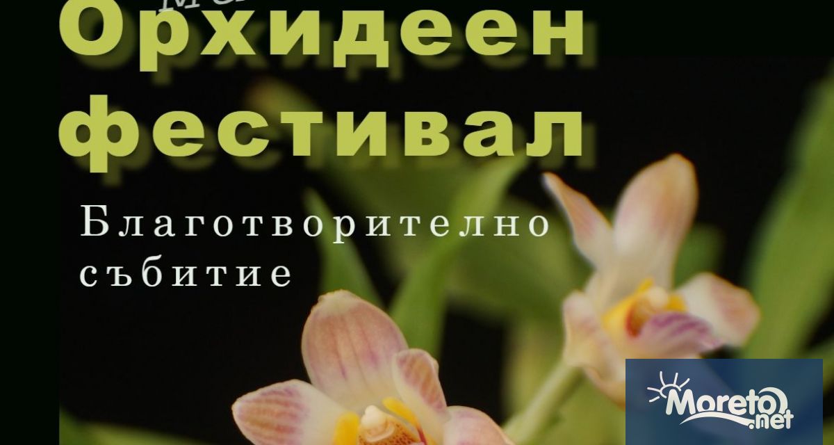 Малък Орхидеен фестивал за пръв път ще събере във Варна