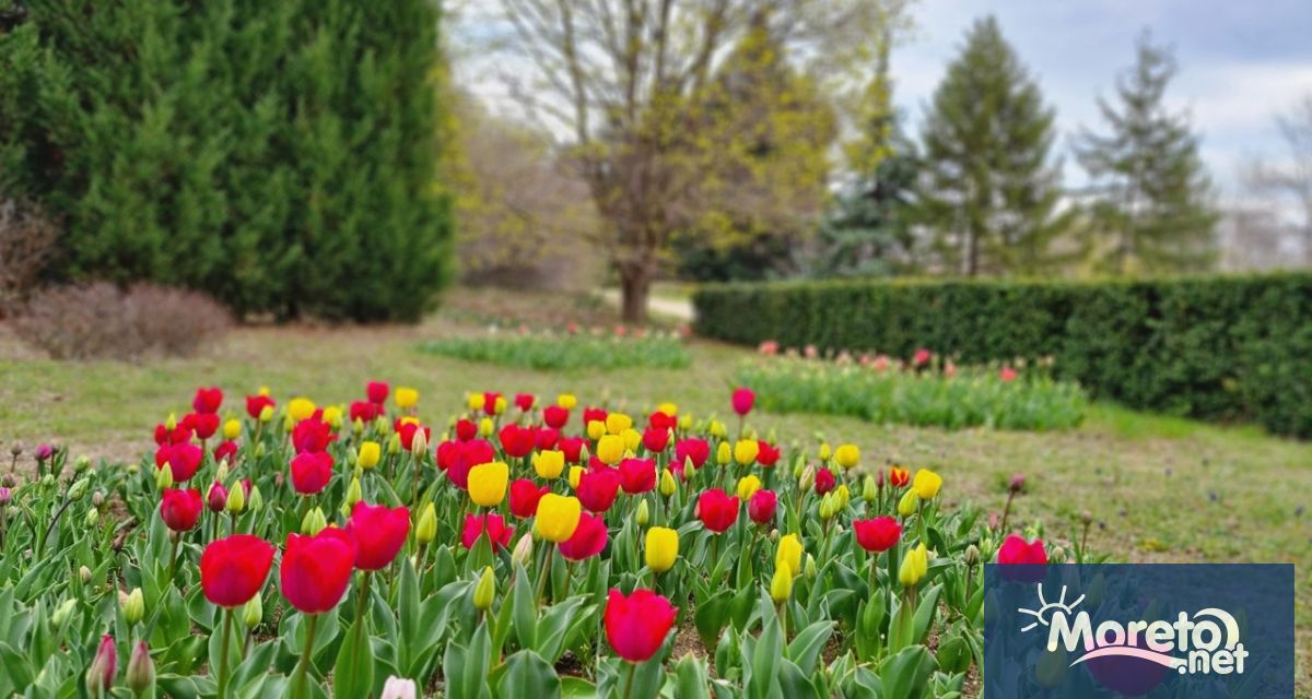 Университетска ботаническа градина Екопарк Варна ще е затворена за посещения
