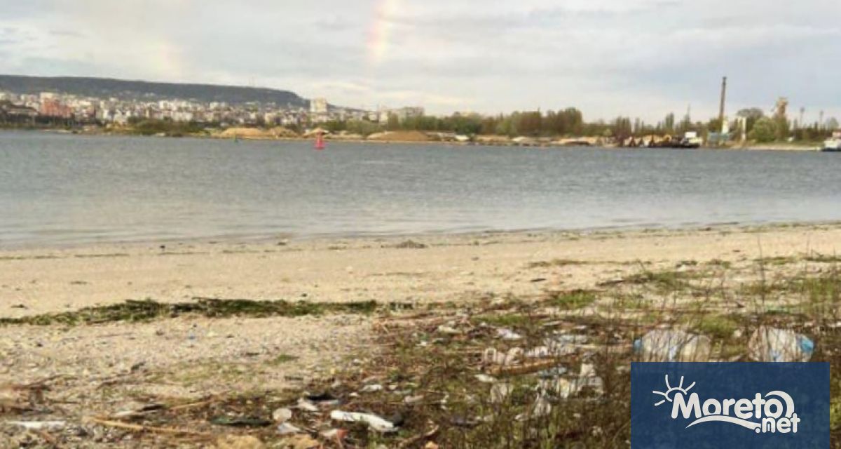 Поредна акция по почистване организират доброволците от Чиста Варна Този