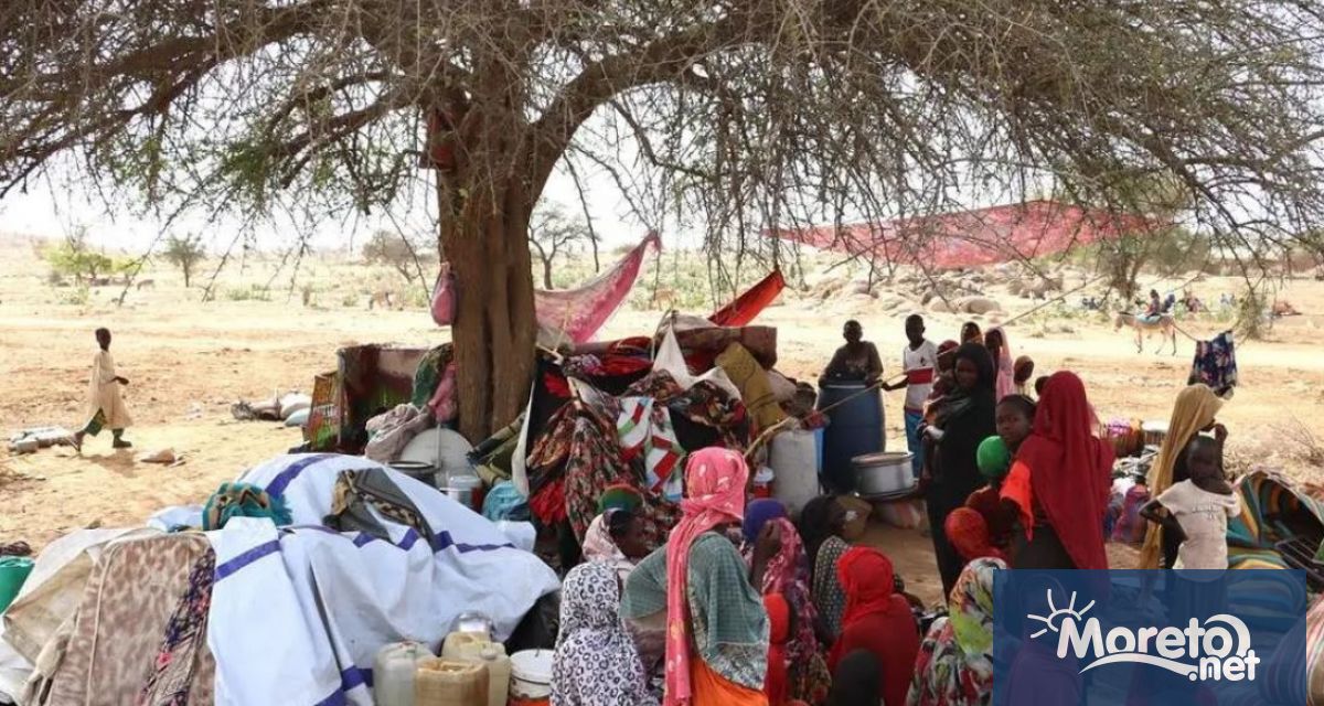 Войната в Судан може да предизвиква най-голямата гладната криза в