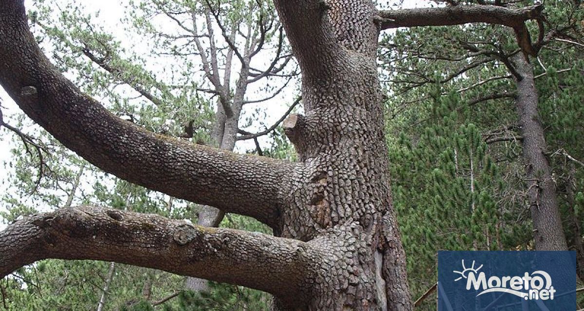 Днес на терен бяха извършени първите проучвателни работи по обезопасяване