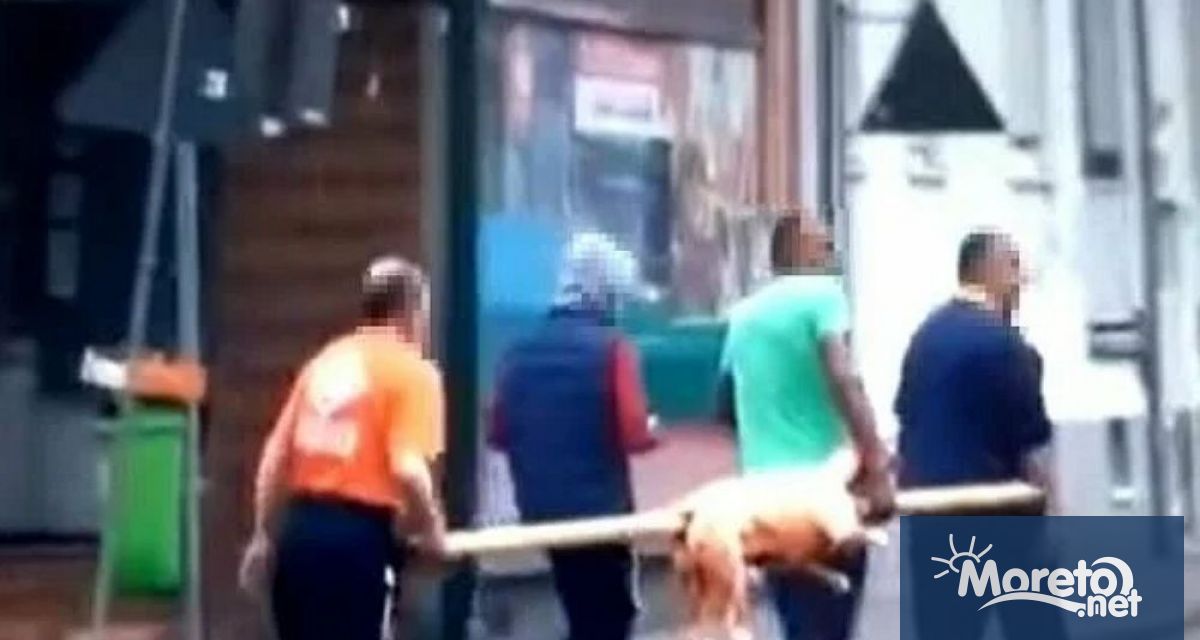 Полицията в германския град Нойкирхен води разследване срещу четирима мъже