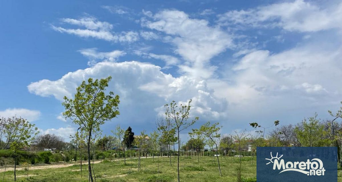 Община Варна и Сдружение с нестопанска цел Парк Борисова градина