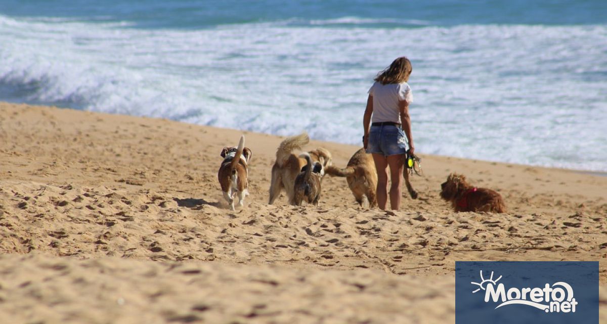 От 15 май до 1 октомври е в сила забрана