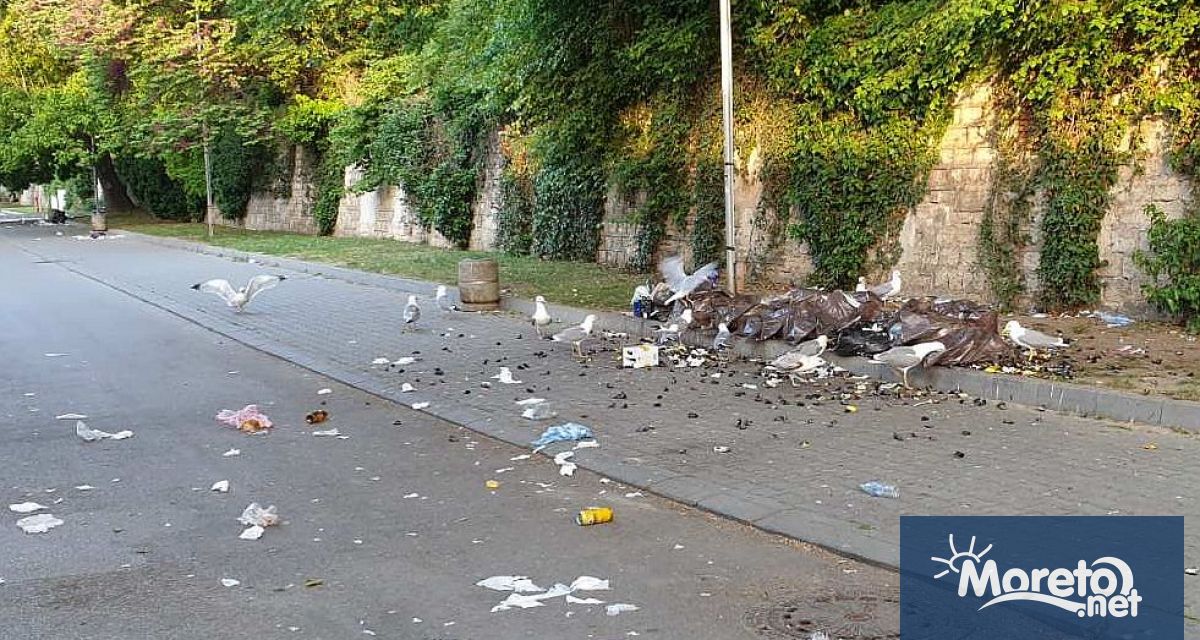 Понеделник сутрин Часът е малко след 6 30 часа Ден след