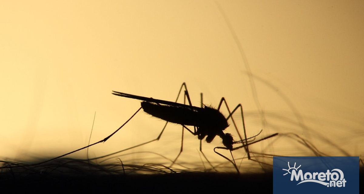 Mиризмите произвеждани от хората са важна част от това което