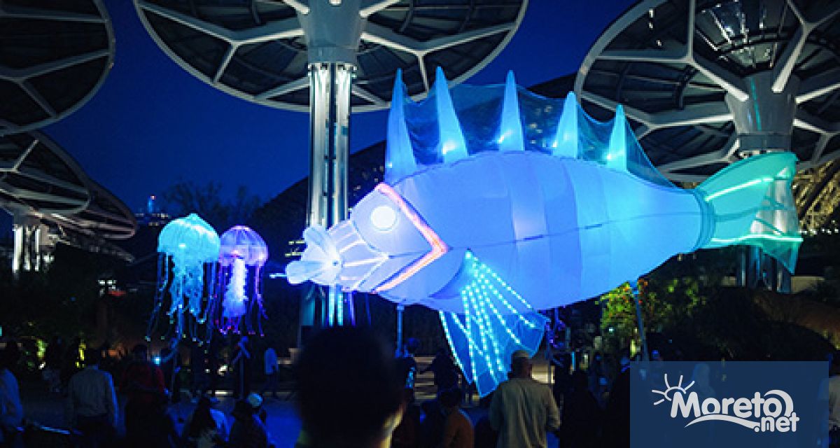 Посетителите е част от Основна програма Международна селекция на