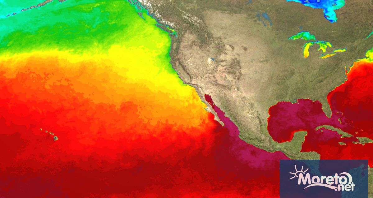 Учените предупреждават че връщането към условията на Ел Ниньо в