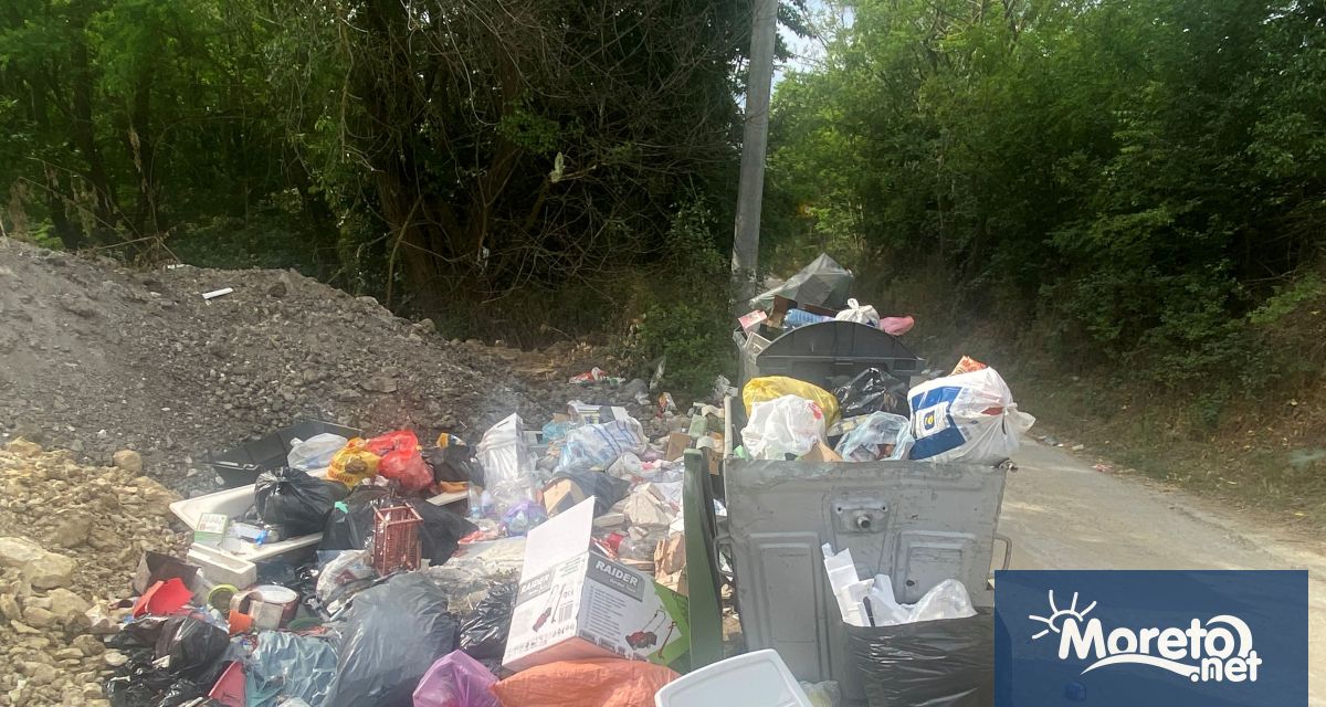 За незаконно образувано сметище на ул Петуния сигнализира читател на Moreto net В