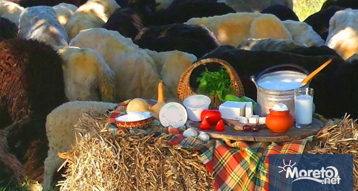 С търпение и старание от страна на участници и организатори