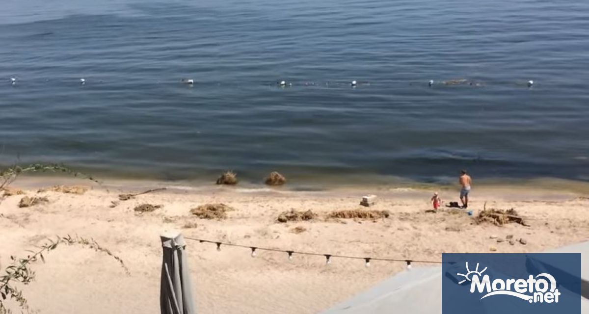 Плажовете на Одеса са обявени за негодни за къпане поради